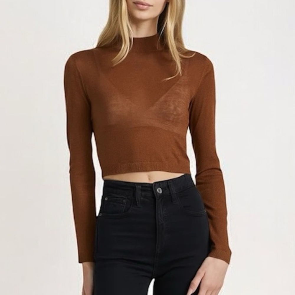 Dynamite Rust Brown Sheer Mock Neck Crop Top